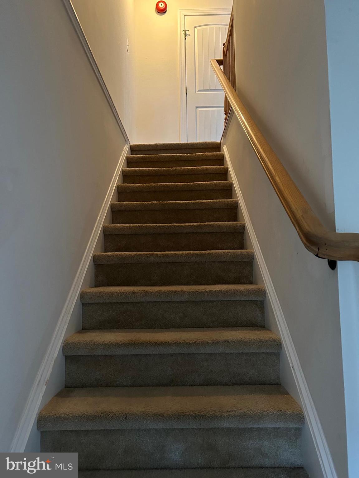 46 REPRESENTATIVE LANE 19