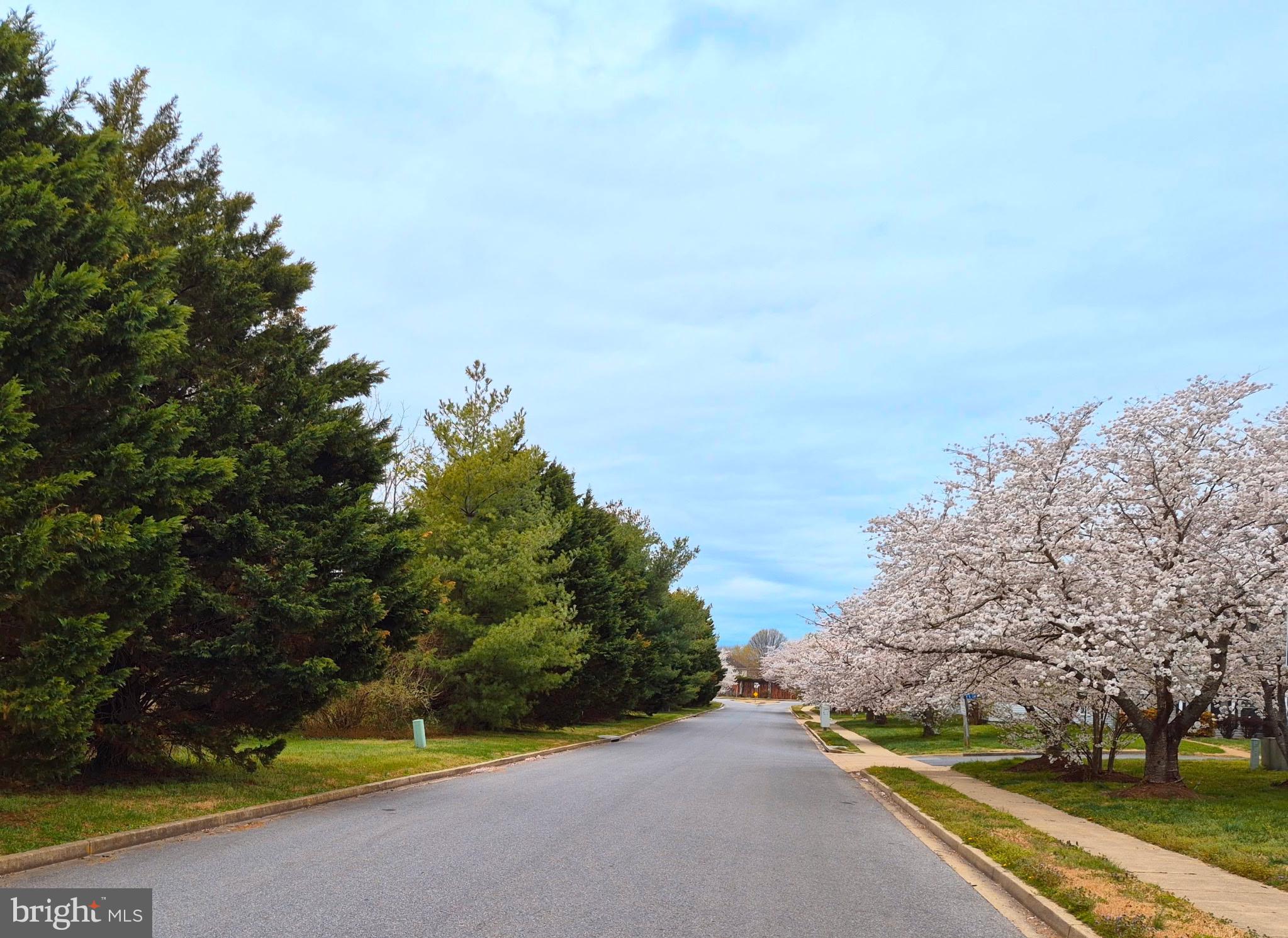 SAINT GEORGES HUNDRED - Residential