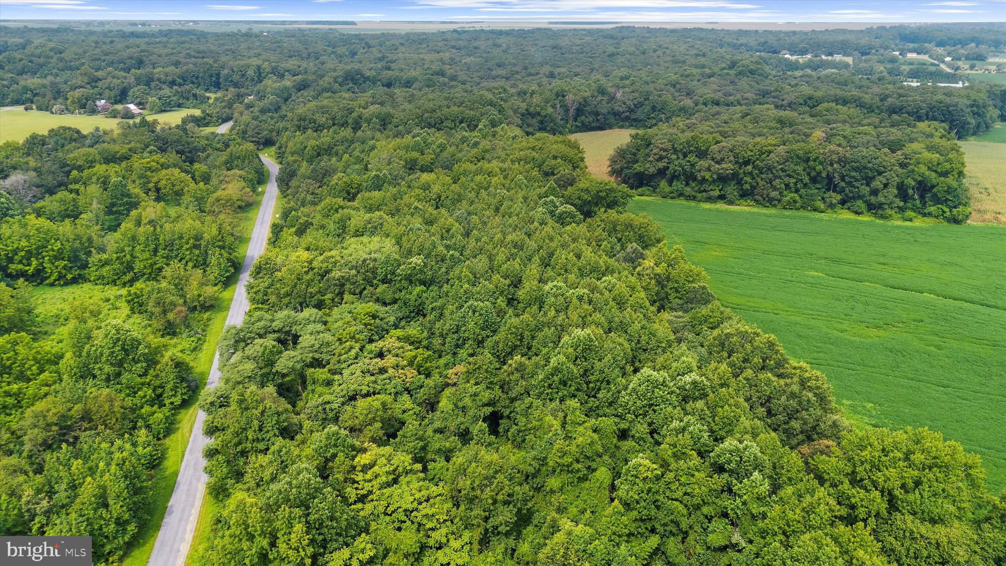 BURNT MILL ROAD