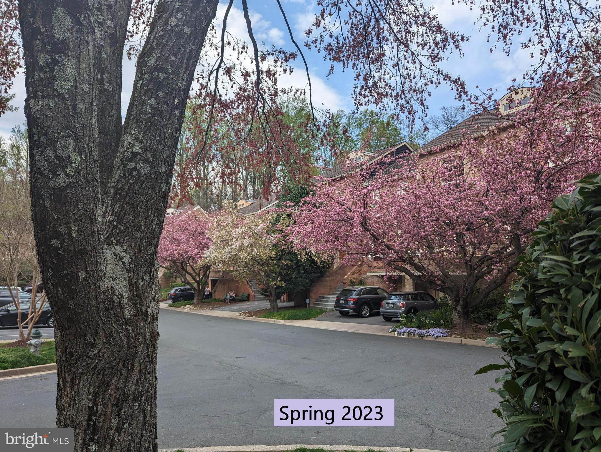 WOODROCK - Residential Lease