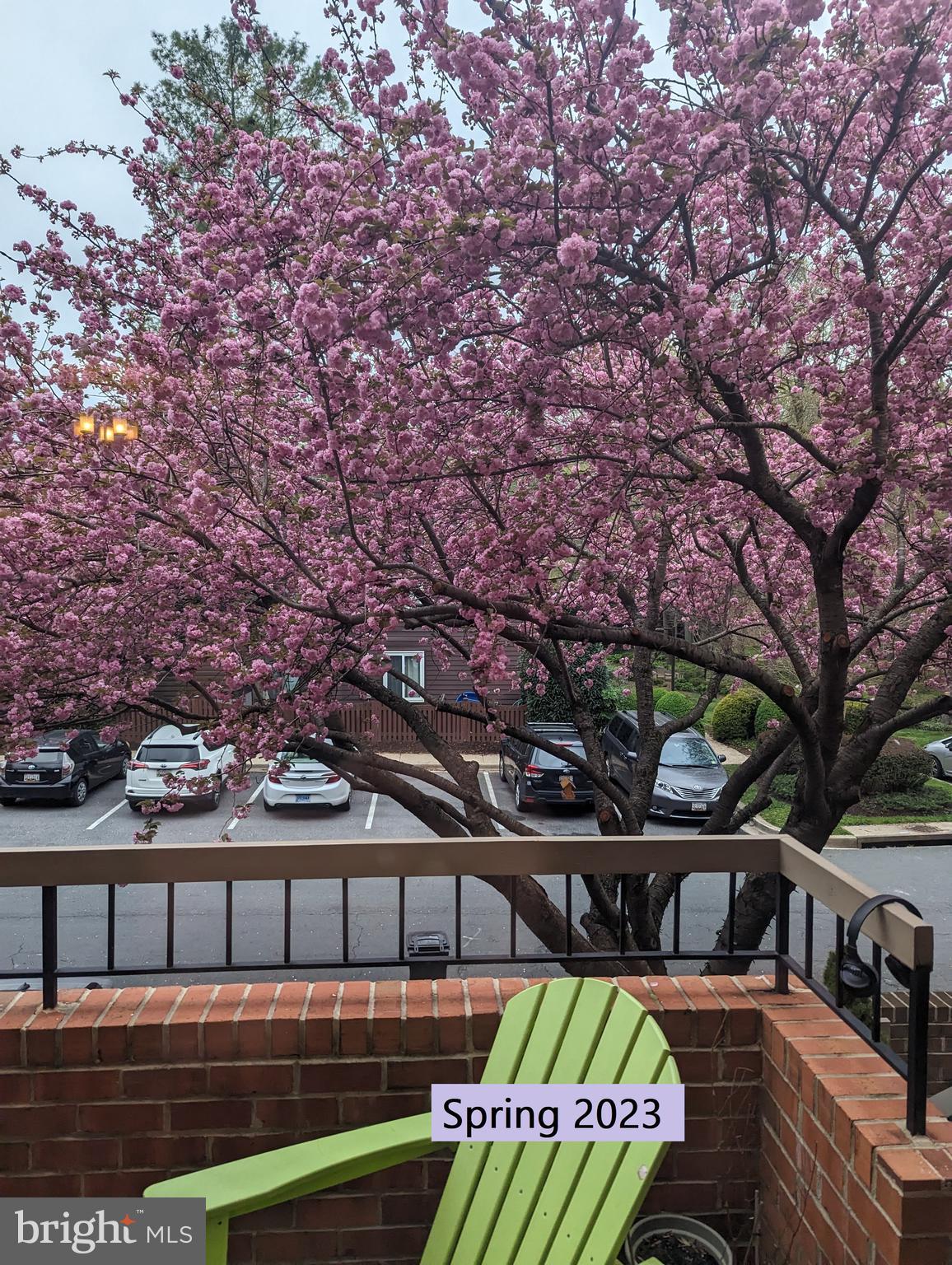 WOODROCK - Residential Lease