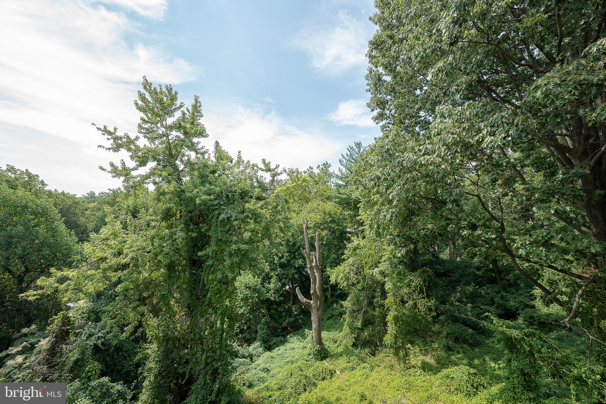 OAK HILL - Residential Lease