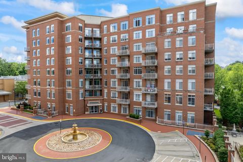 4490 MARKET COMMONS DRIVE 602 FAIRFAX VA 22033