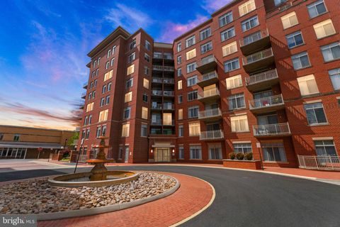 4490 MARKET COMMONS DRIVE 602 FAIRFAX VA 22033