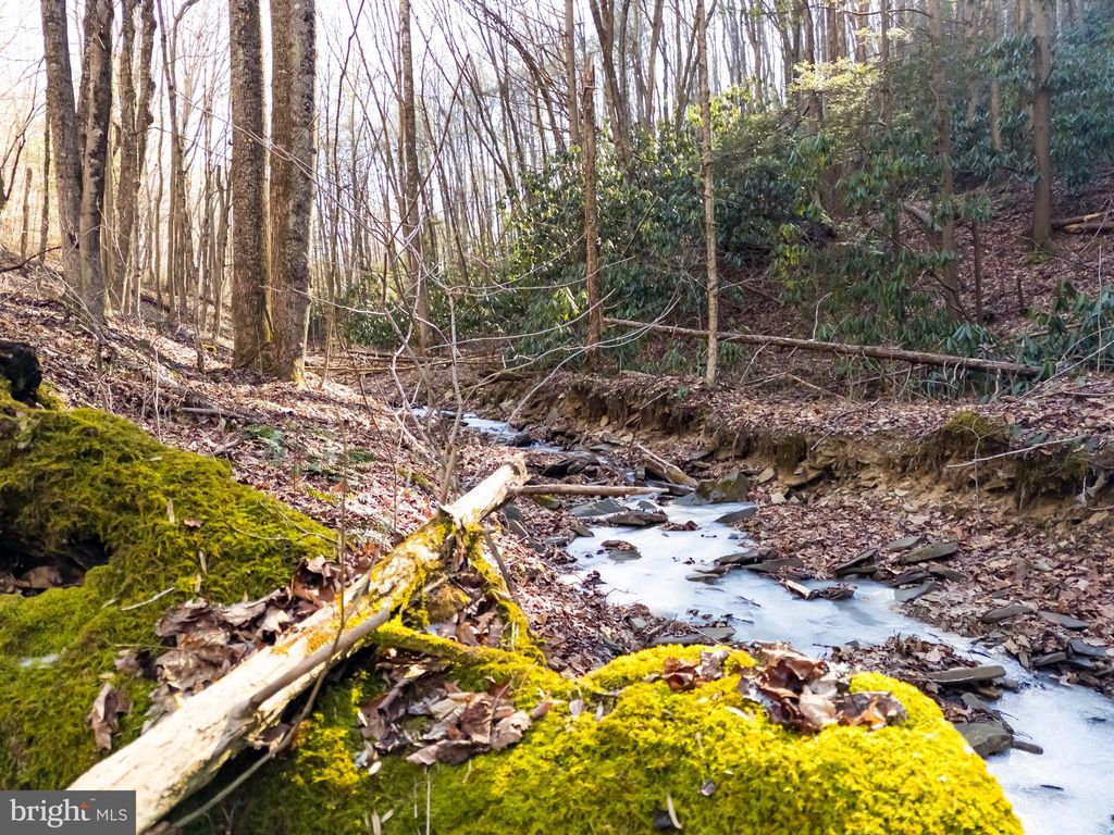 Photo of Off Route 63 Caldwell, CALDWELL, WV 24925 (MLS # WVGB2000172)