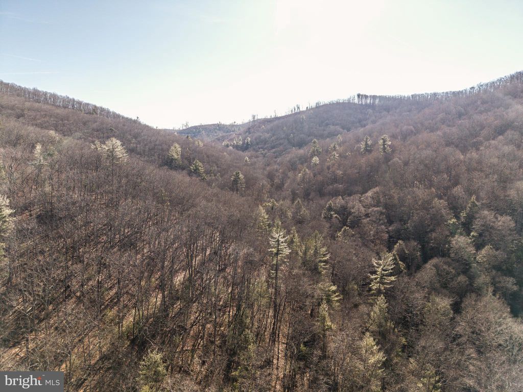 Photo of Off Route 63 Caldwell, CALDWELL, WV 24925 (MLS # WVGB2000172)