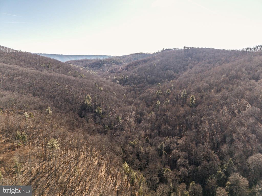 Photo of Off Route 63 Caldwell, CALDWELL, WV 24925 (MLS # WVGB2000172)