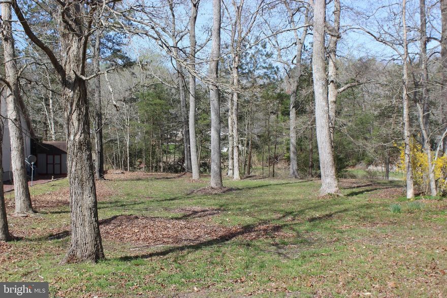 4/1862 Does sitting on you back deck or gazebo looking out over the water as the sunshine glistens over the water while the wildlife live and feed interest you? Then consider this oversized wooded lot (16,550 sq ft.,) with approx. 70’ of pond-frontage, 3 BR Cert Letter & Wetland Determination Study on File. Lot has water & ESVBA availability. This lot is in a highly sought after area of Captains Cove…backs to Lake Ernie for additional privacy, close to the entrance. Buy now and build later, no time frame to build, no builder tie-in, just enjoy all the amenities and the lifestyle on the Eastern Shore of VA. Close to Chincoteague Island, Wallops Island and Ocean City MD. HOA amenities; 9 Pristine Golf Course, indoor/outdoor pools (2), fitness center, basketball, pickle-ball, & tennis courts, boat ramp, playground, picnic, Biking & Walking Trails, Dog Parks, security & more.