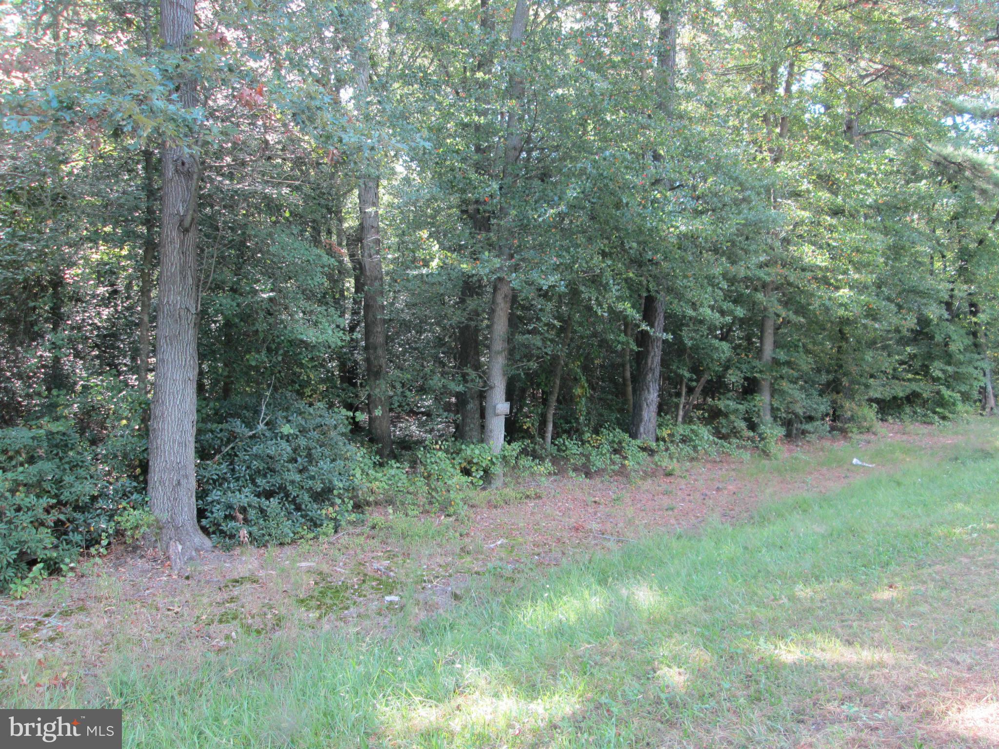RTE 313 ROAD