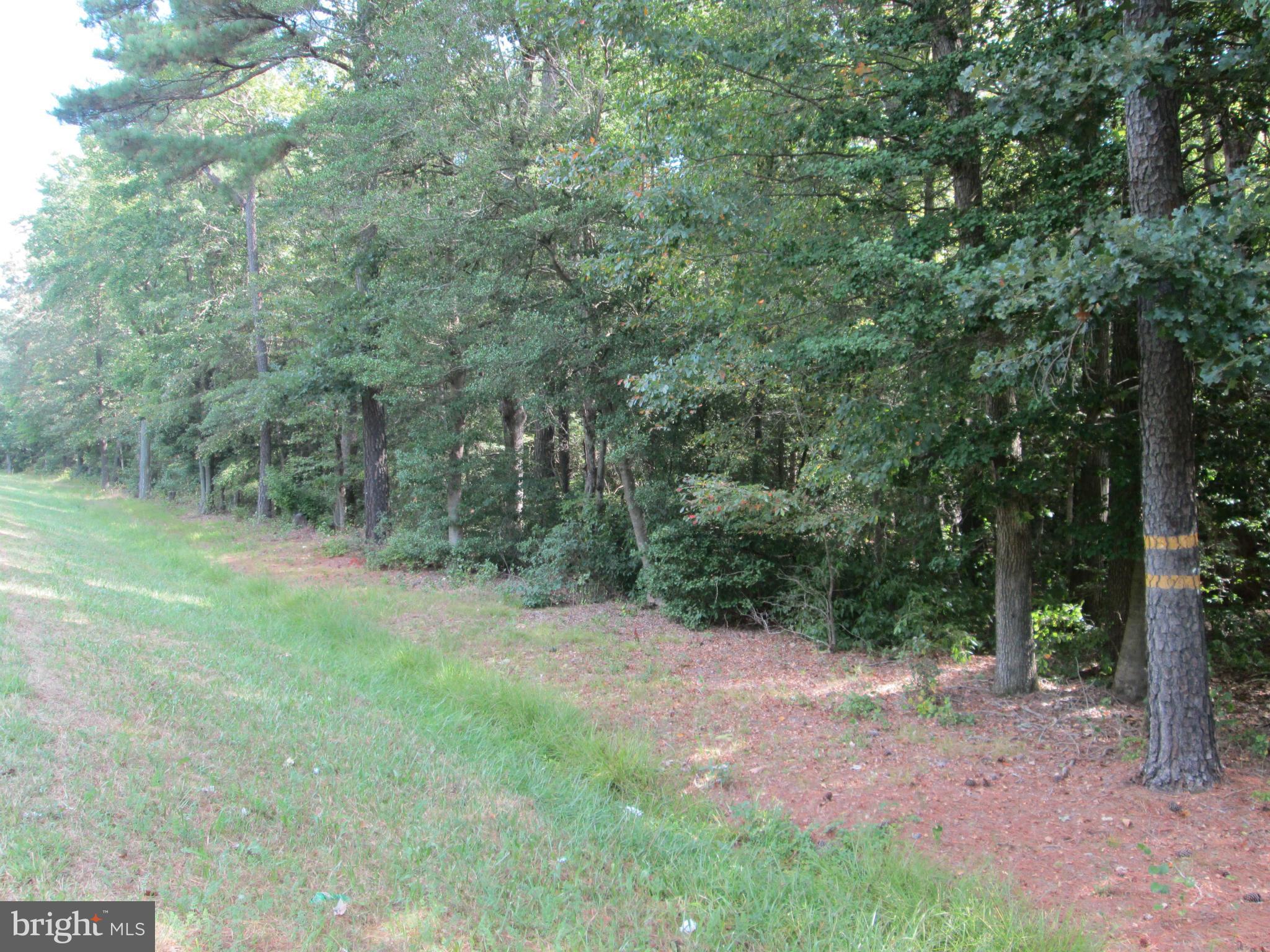 RTE 313 ROAD