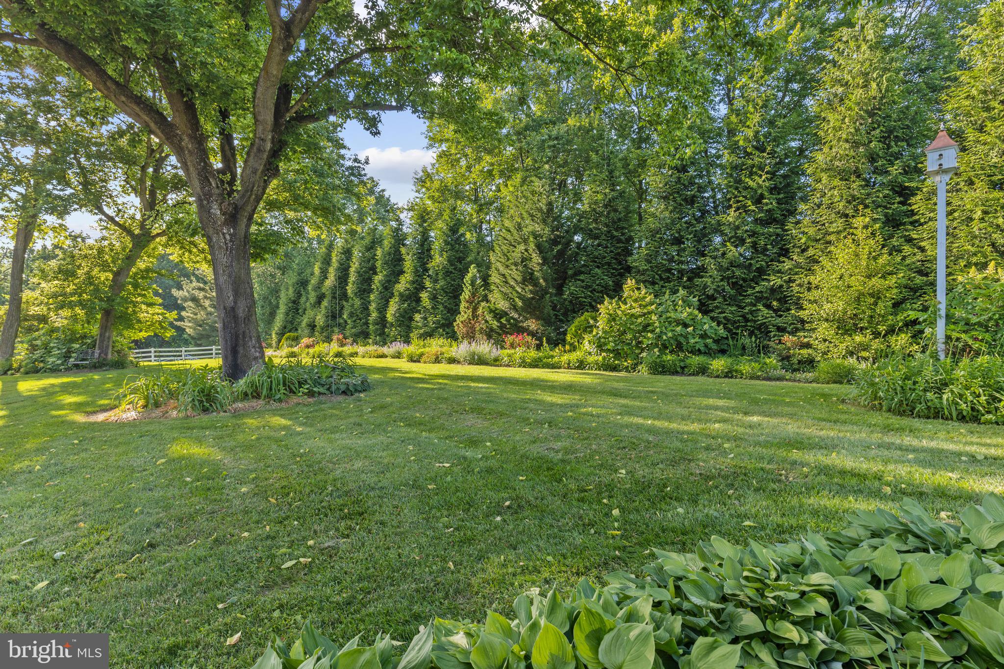 MY LADY'S MANOR - Farm