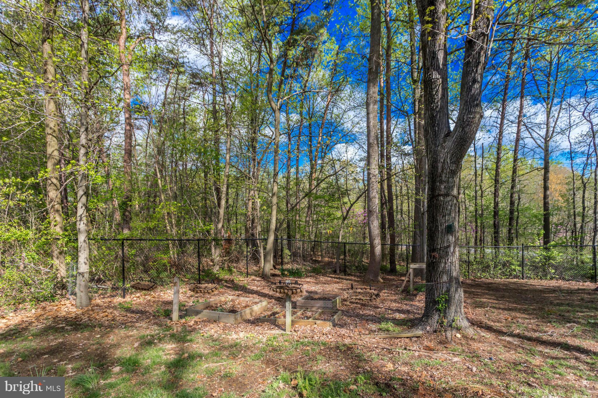 WILLOW SPRINGS - Residential