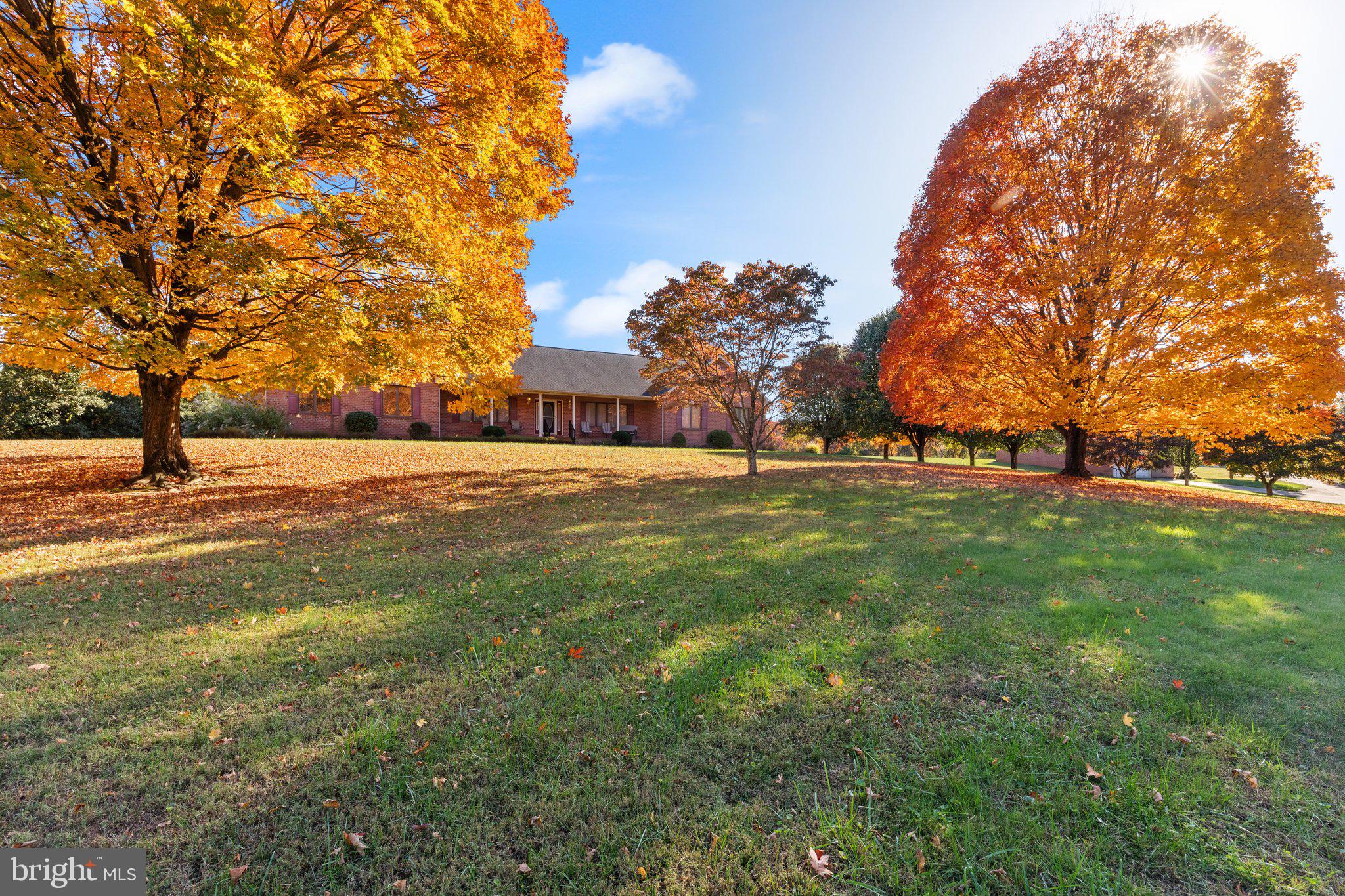 1299 MACTON ROAD