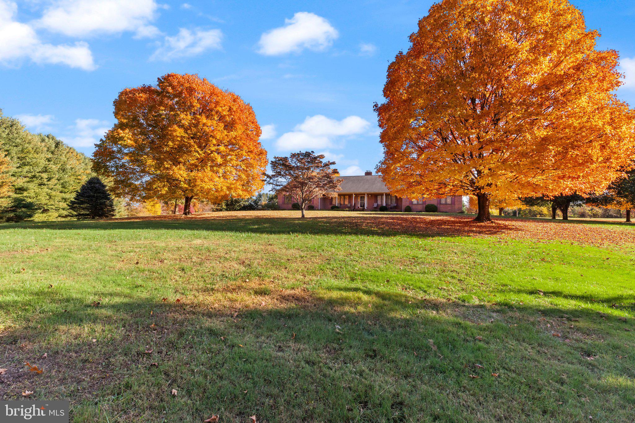 1299 MACTON ROAD