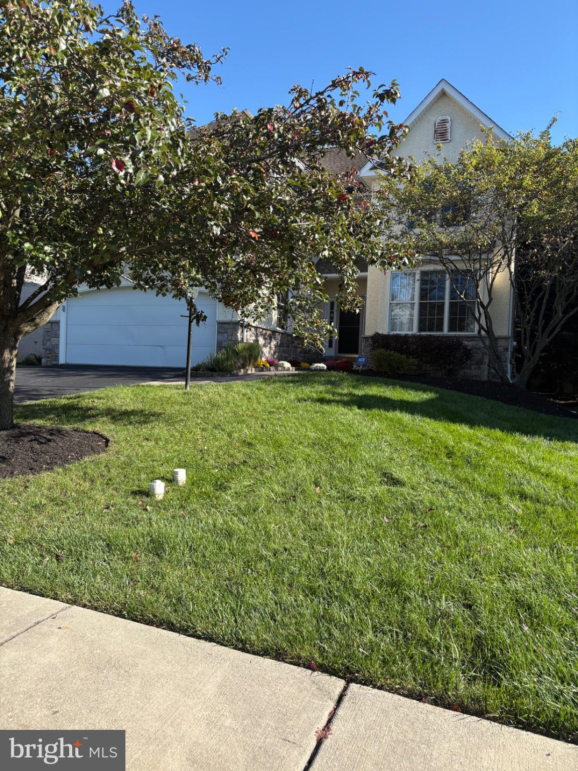115 CETON COURT