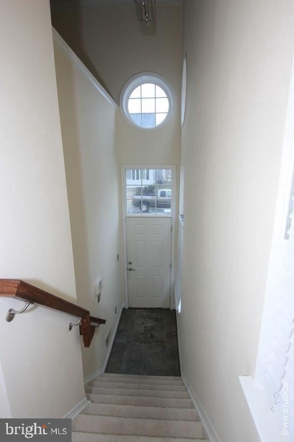 420 ESMOND PLACE