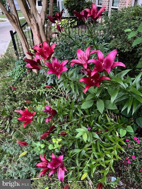 EVERGREEN ESTATES - Residential