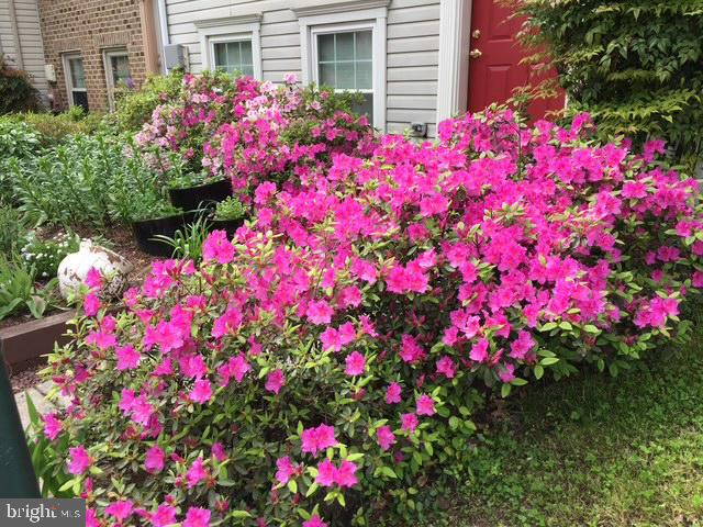 EVERGREEN ESTATES - Residential