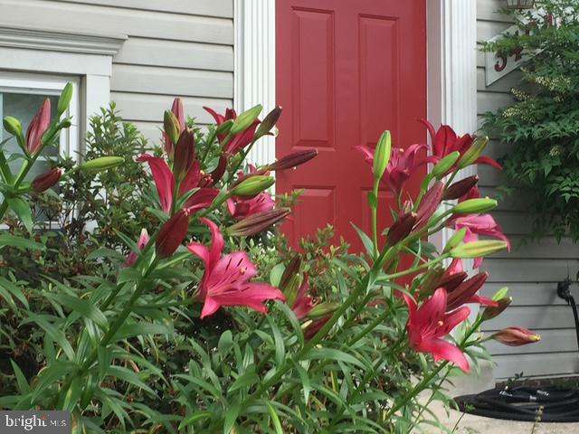 EVERGREEN ESTATES - Residential