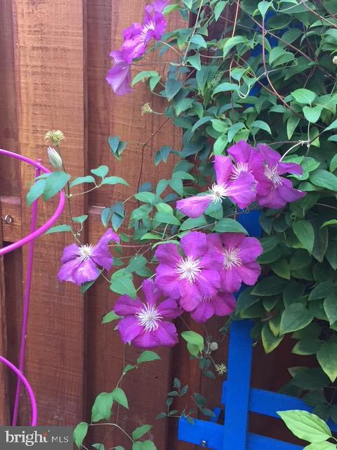 EVERGREEN ESTATES - Residential