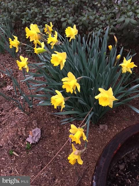 EVERGREEN ESTATES - Residential