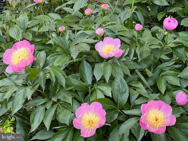 EVERGREEN ESTATES - Residential