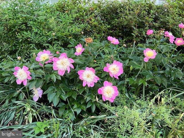 EVERGREEN ESTATES - Residential