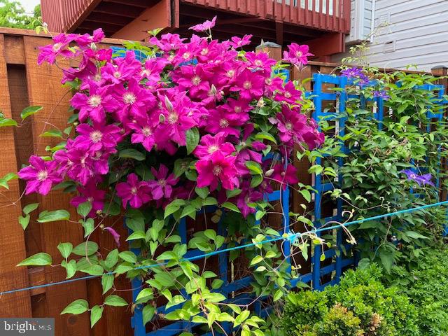 EVERGREEN ESTATES - Residential