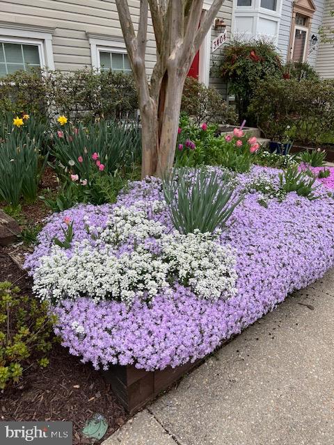 EVERGREEN ESTATES - Residential