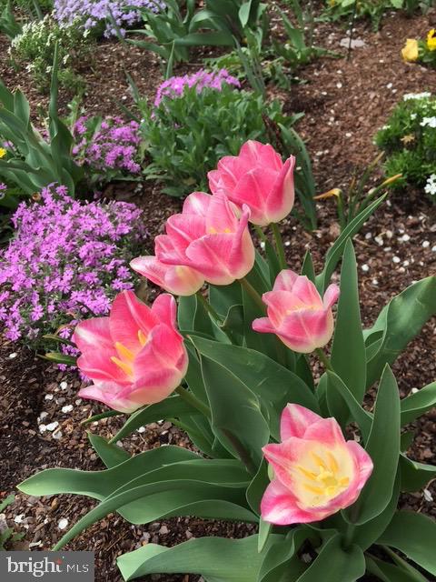 EVERGREEN ESTATES - Residential