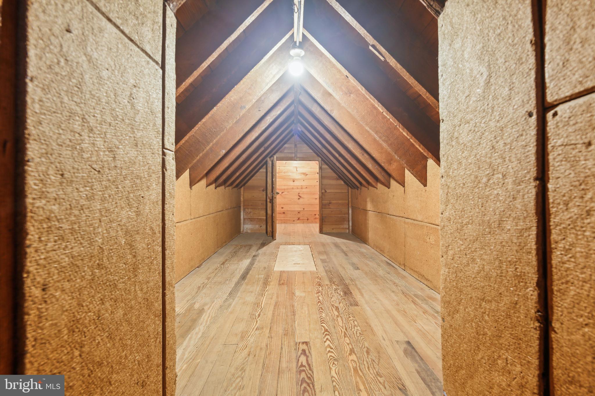 HOMELAND HISTORIC DISTRICT - Residential