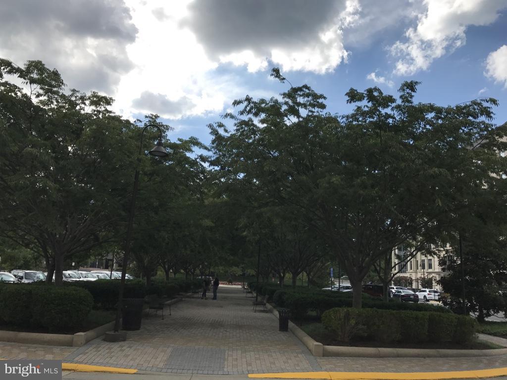 MERCER - Residential Lease