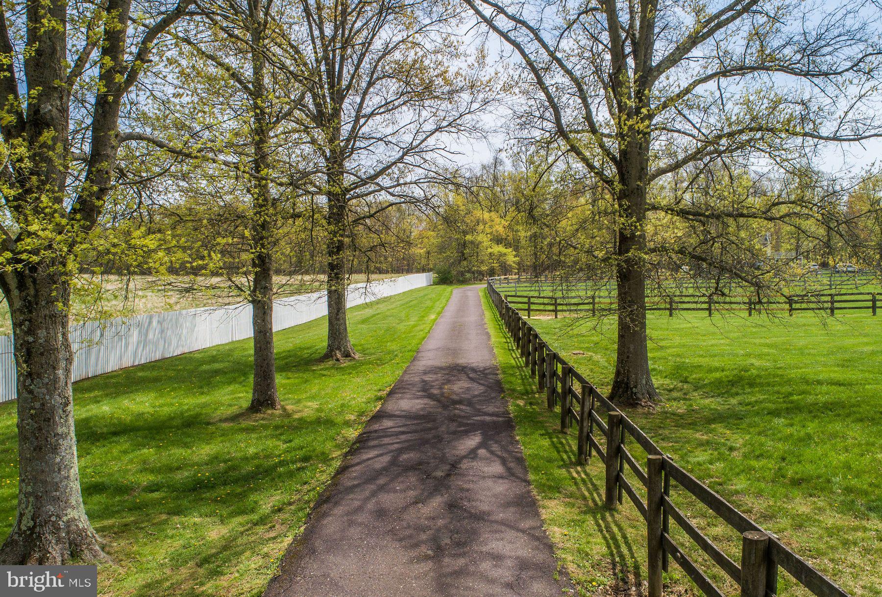 161 DARK HOLLOW ROAD