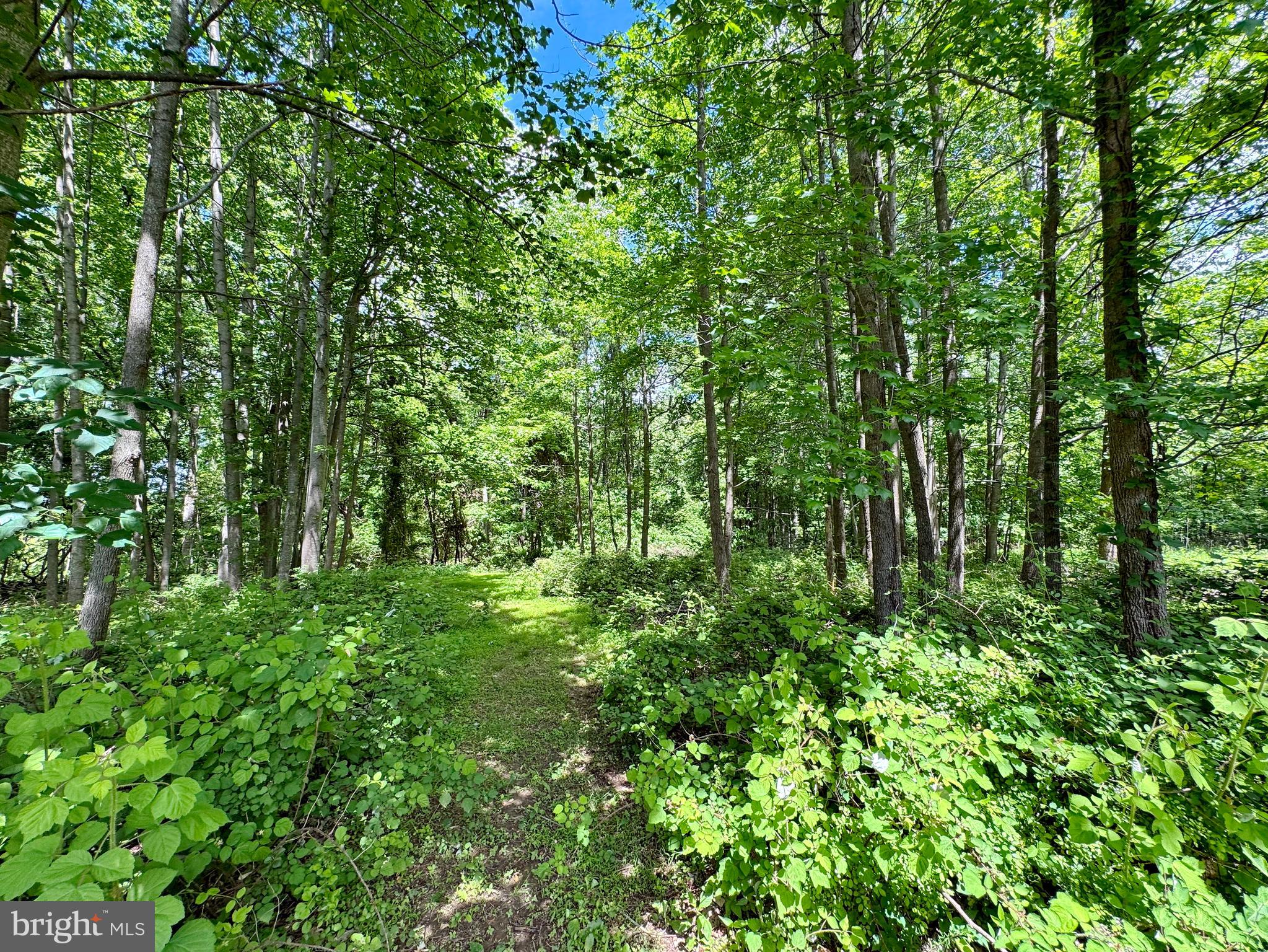 OAKWOOD MANOR - Residential