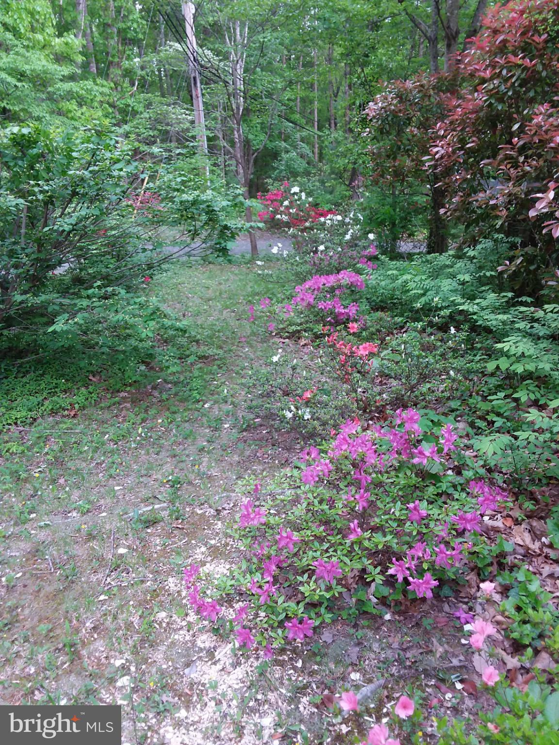 SHENANDOAH - Residential