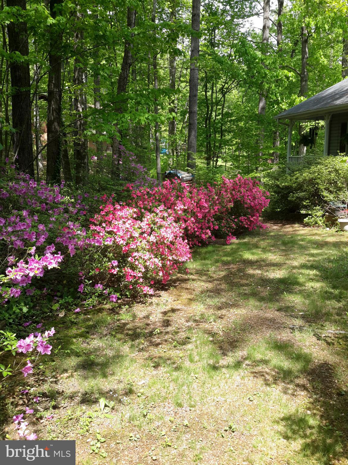 SHENANDOAH - Residential