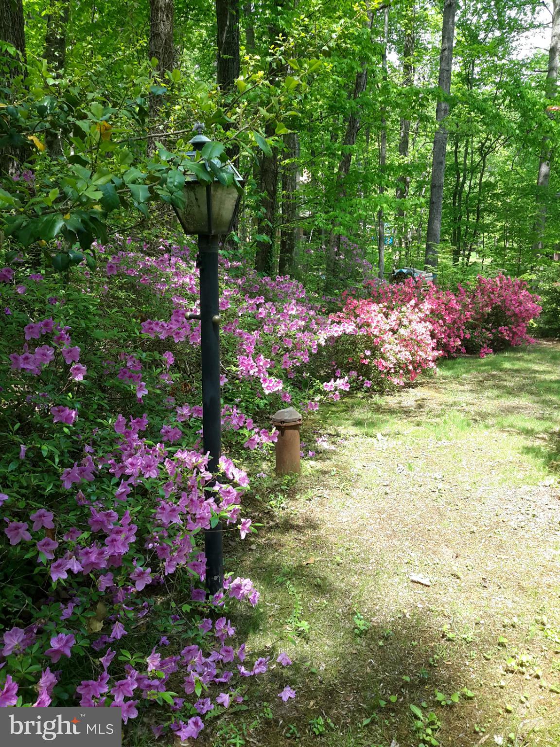 SHENANDOAH - Residential