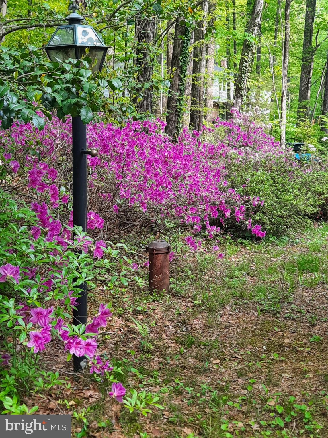 SHENANDOAH - Residential