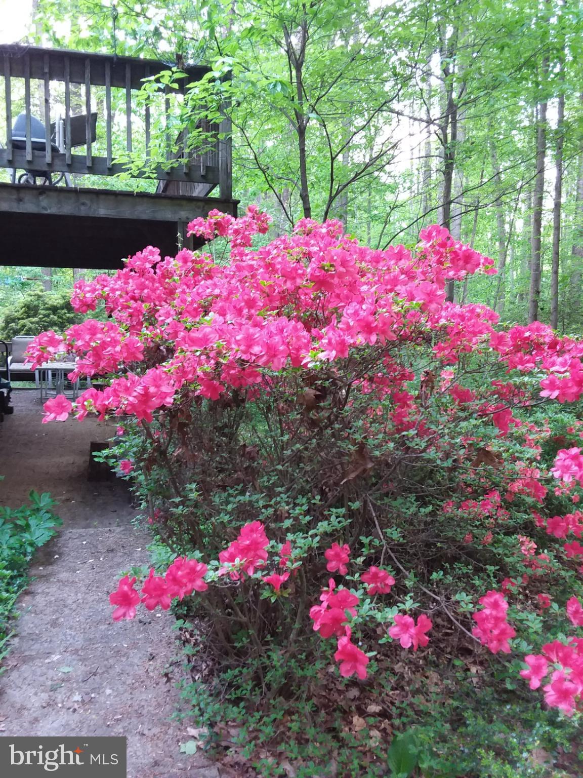 SHENANDOAH - Residential