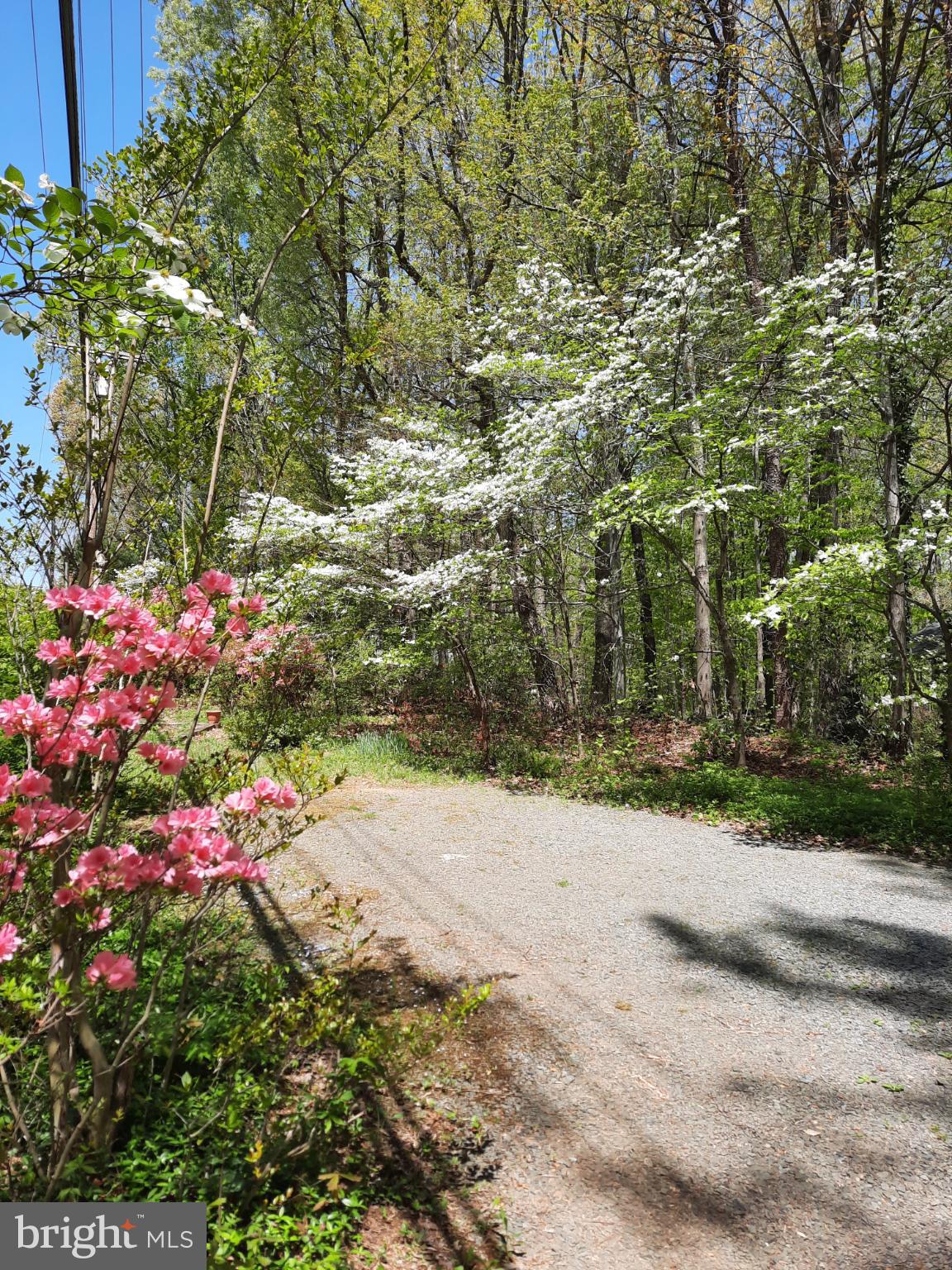 SHENANDOAH - Residential