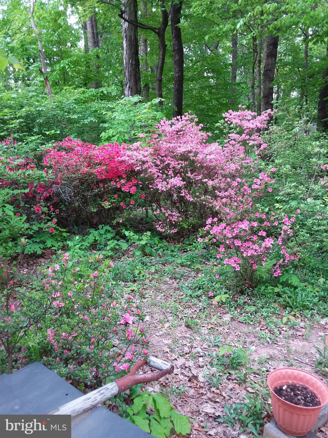 SHENANDOAH - Residential