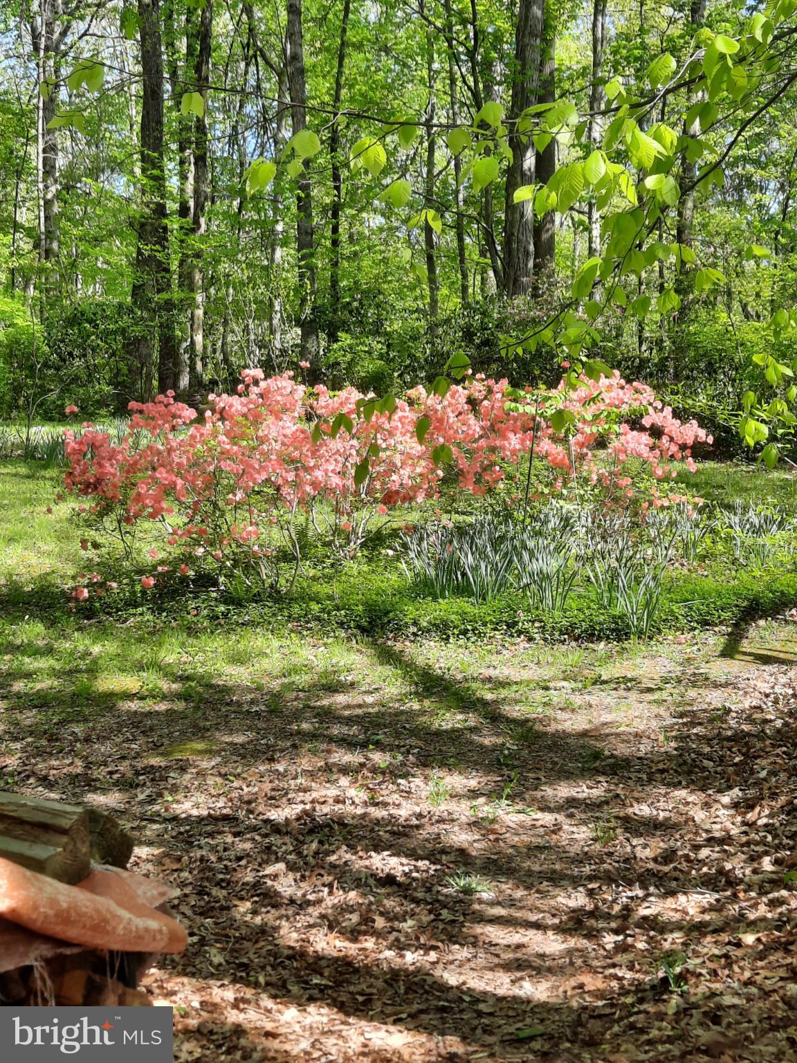 SHENANDOAH - Residential