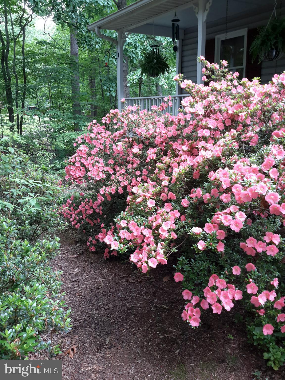 SHENANDOAH - Residential