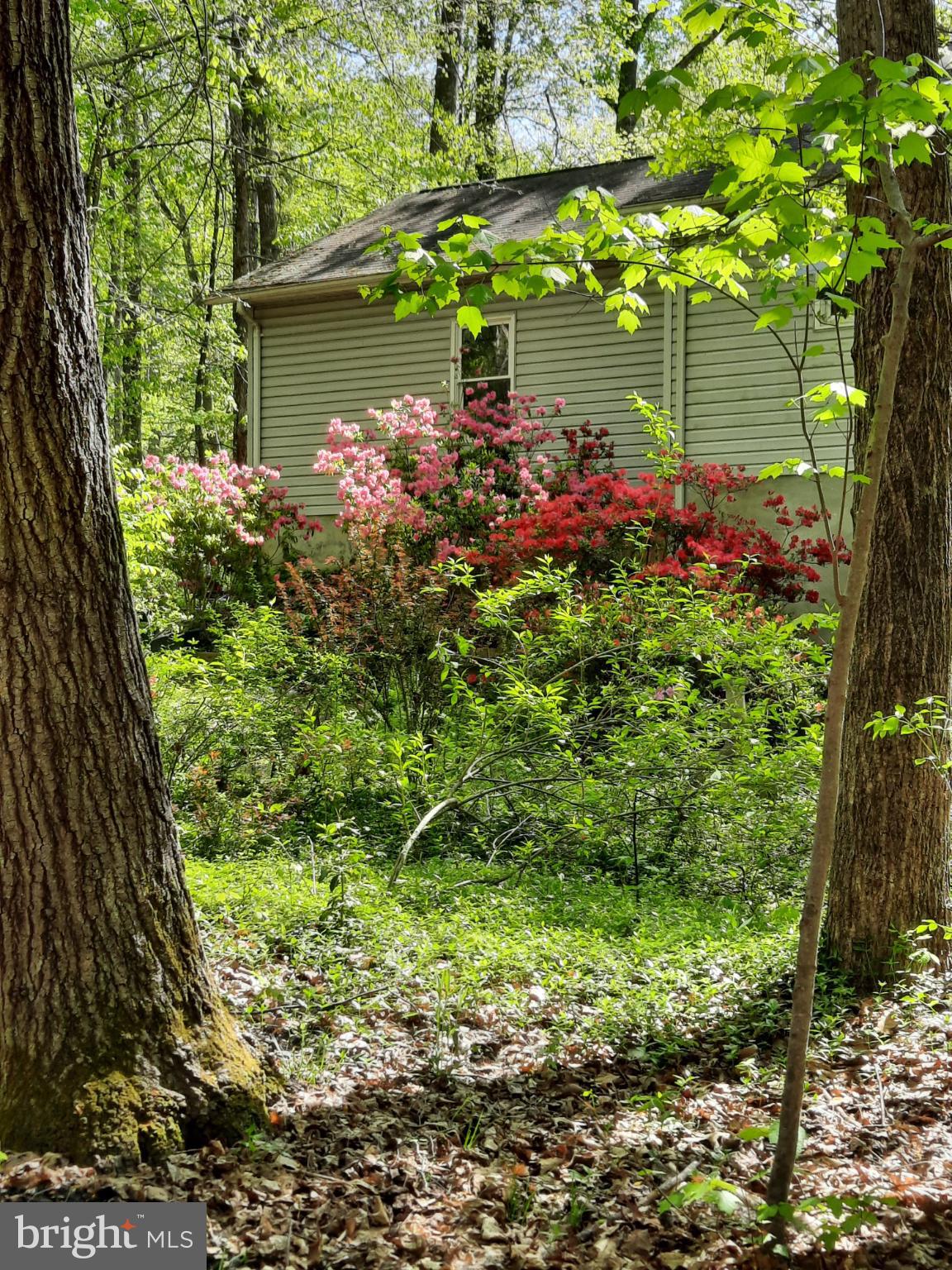 SHENANDOAH - Residential