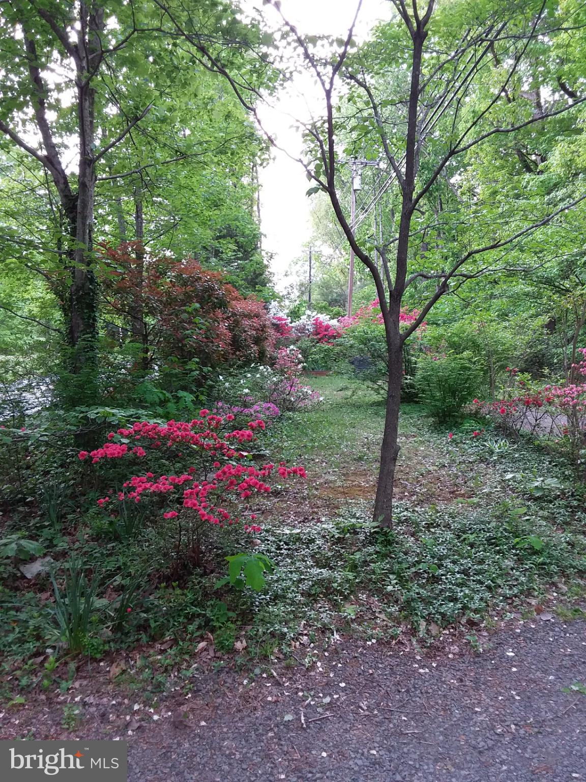 SHENANDOAH - Residential