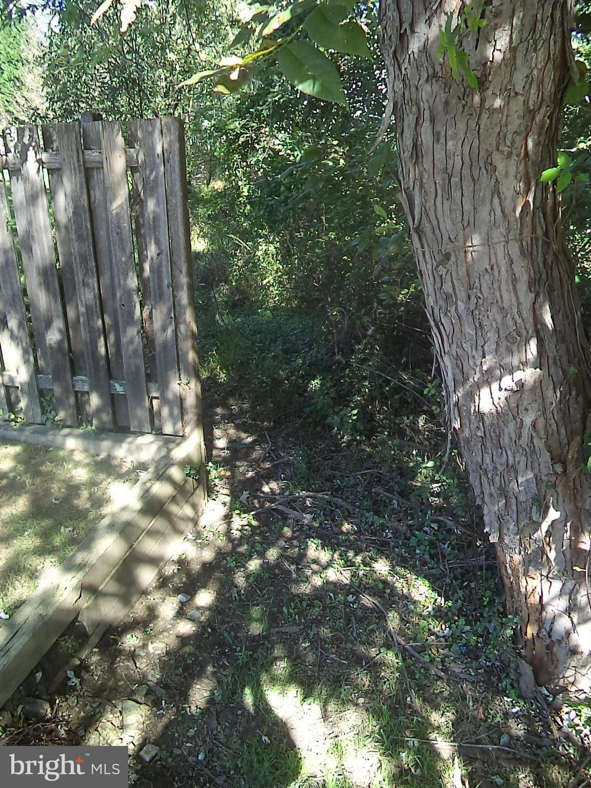 POTOMAC OUTSIDE - Land