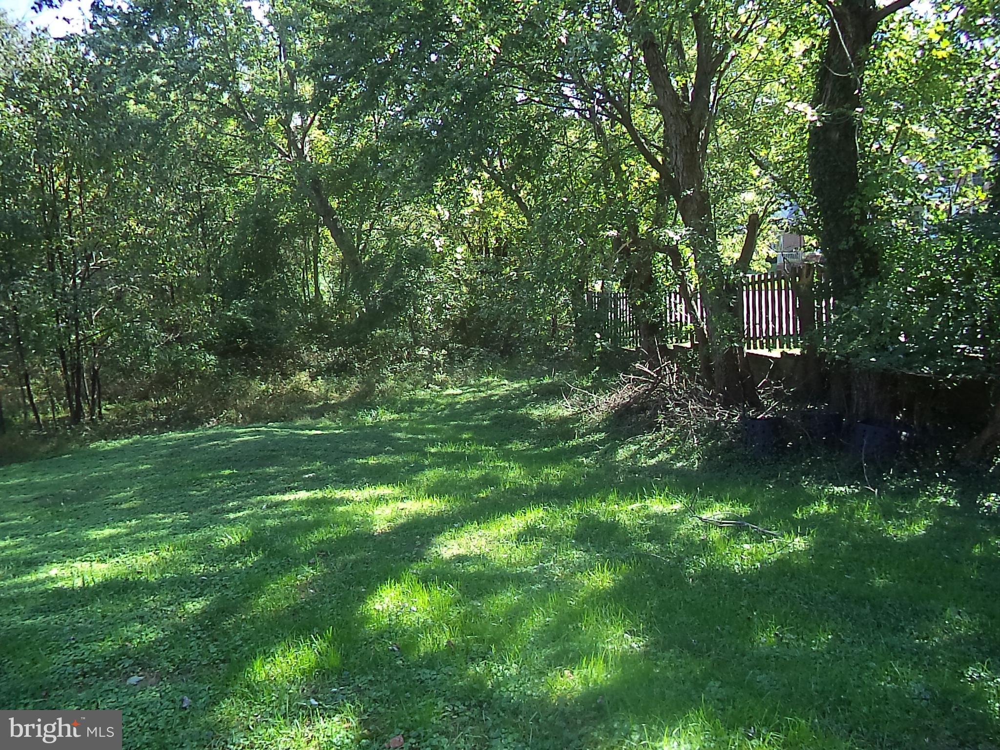 POTOMAC OUTSIDE - Land