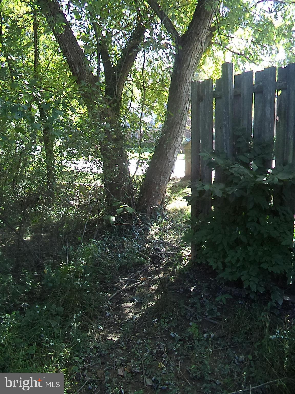 POTOMAC OUTSIDE - Land