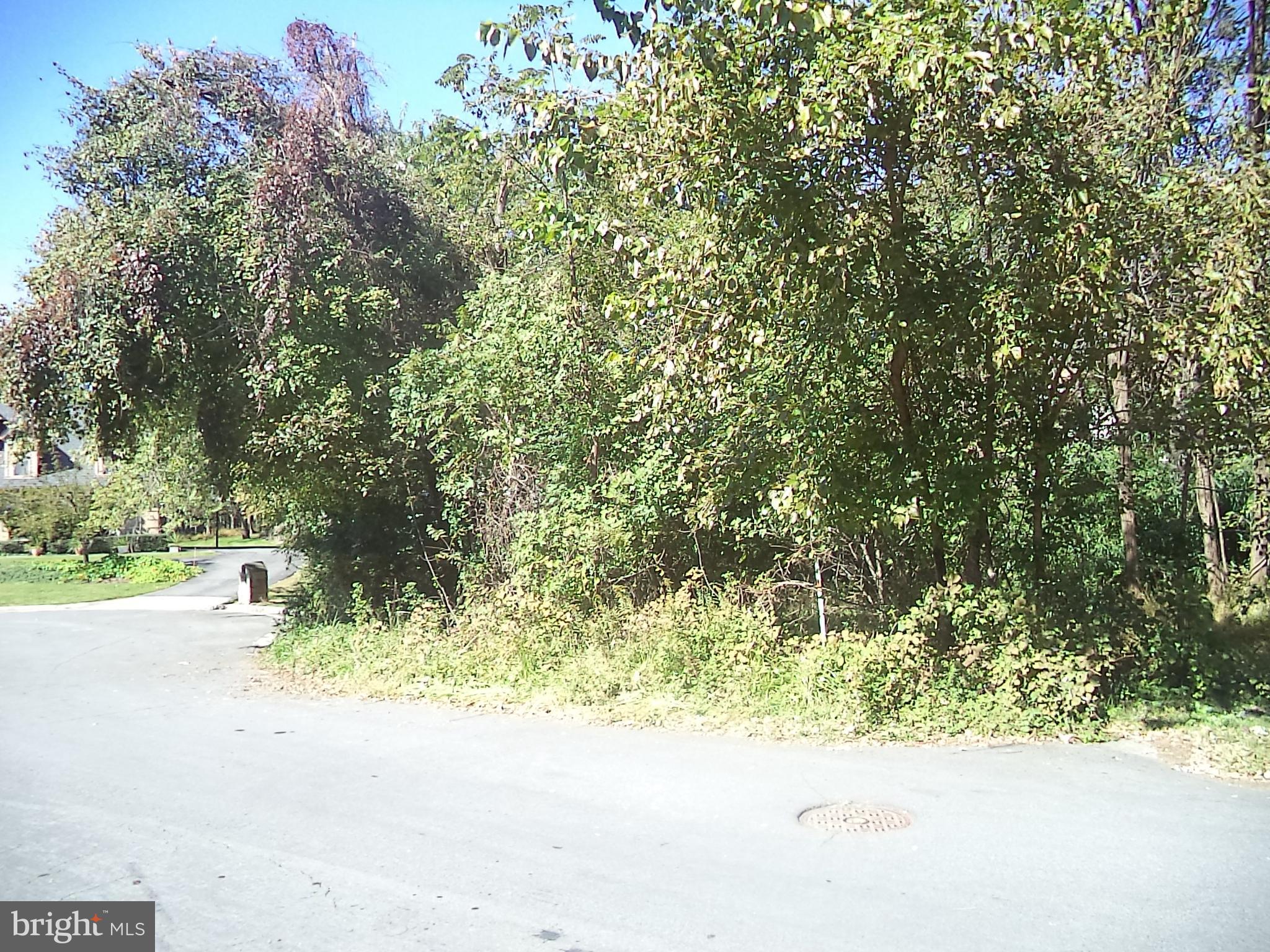 POTOMAC OUTSIDE - Land