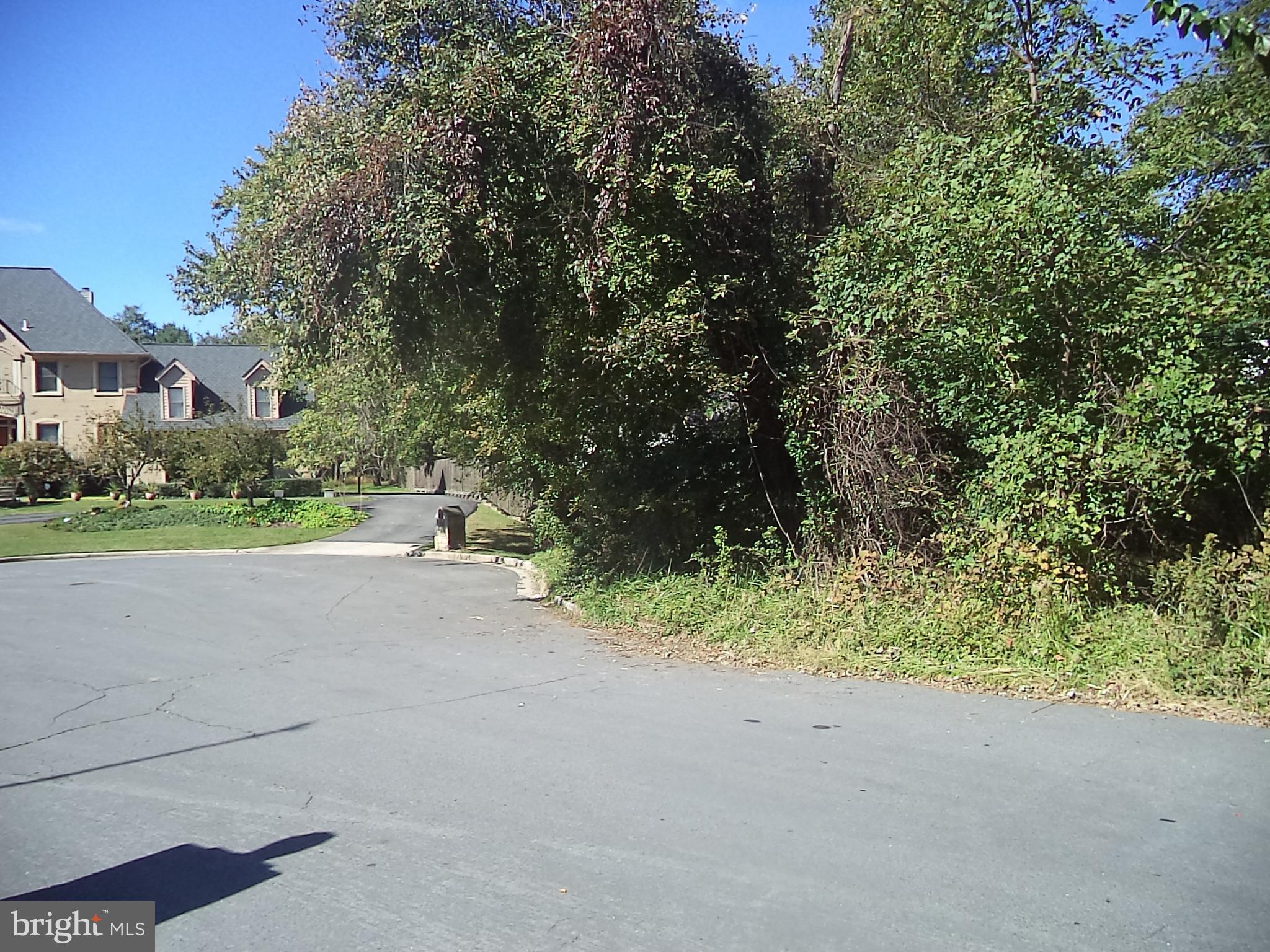 POTOMAC OUTSIDE - Land